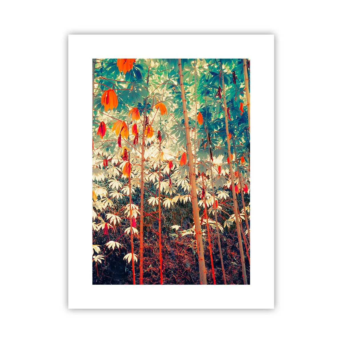 Affiche - Poster - La vie secrète des feuilles - 30x40 cm