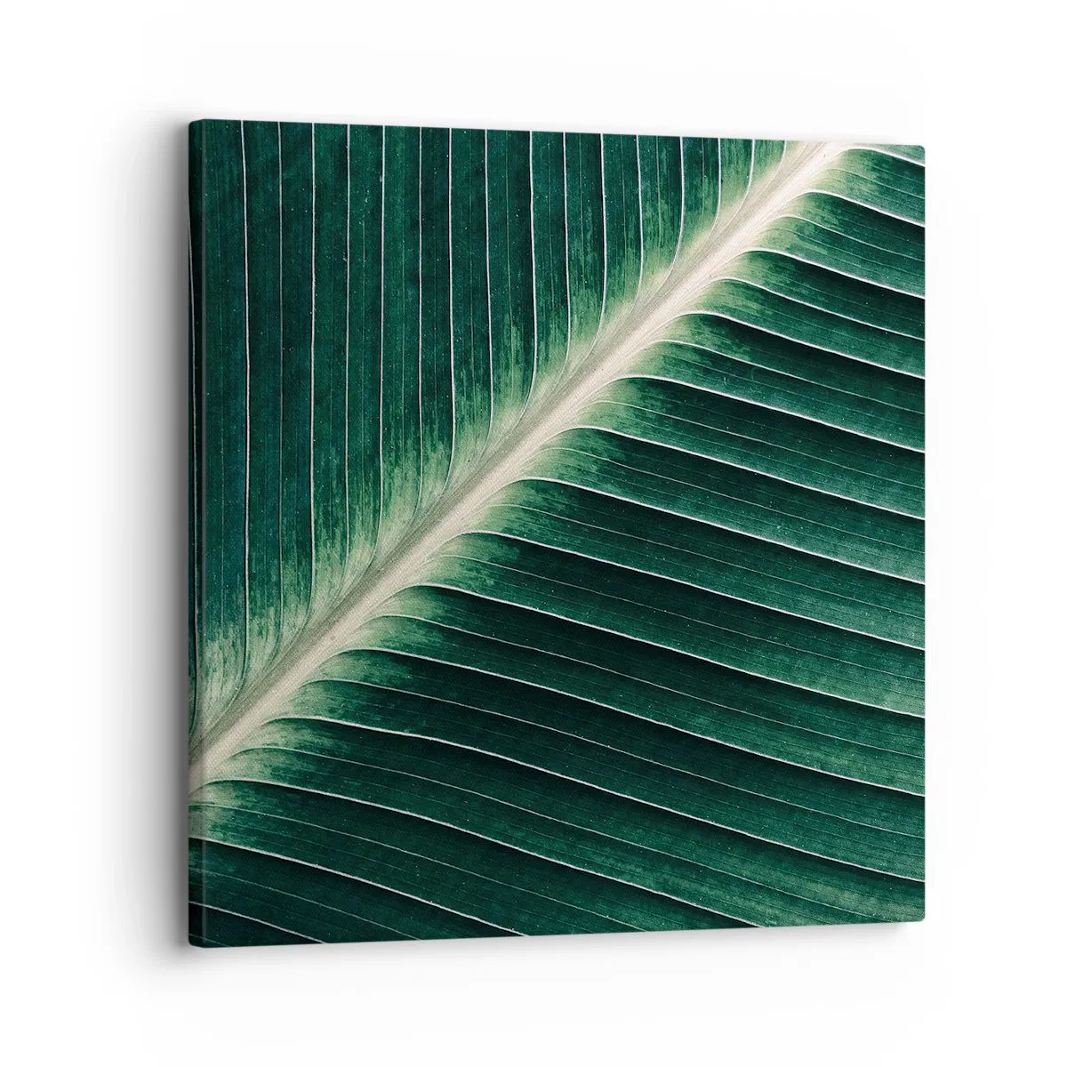 Impression sur toile - Image sur toile - Le rythme de la nature - 30x30 cm