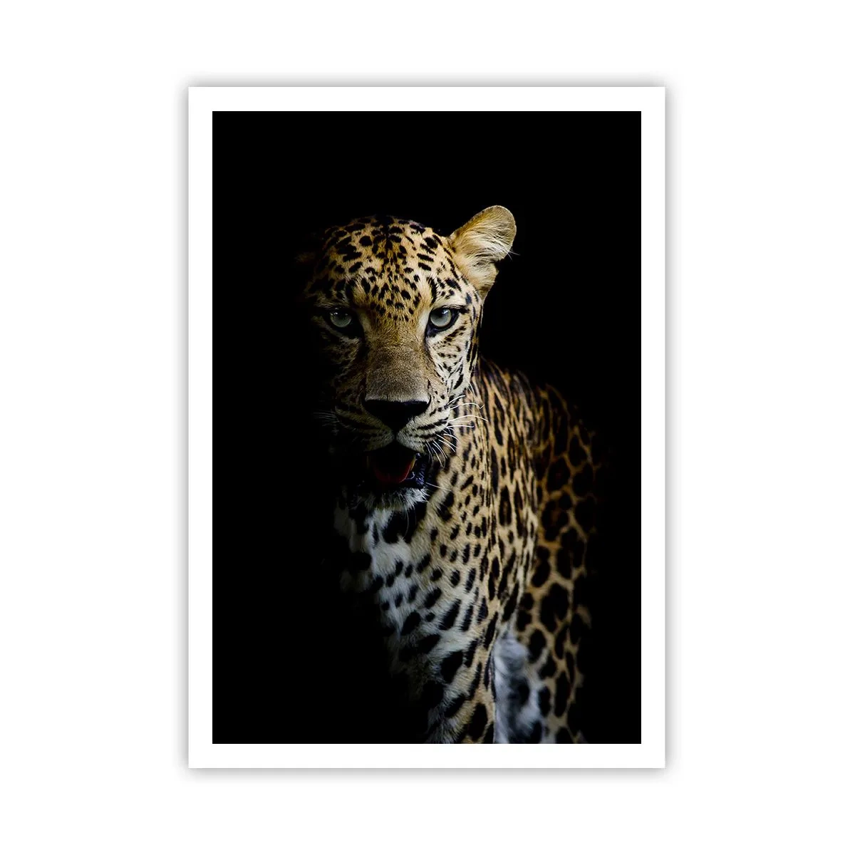 Affiche - Poster - Beauté sombre - 70x100 cm