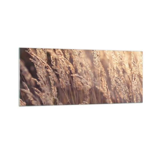 Impression sur verre - Image sur verre - Prêt à accueillir l'automne - 100x40 cm