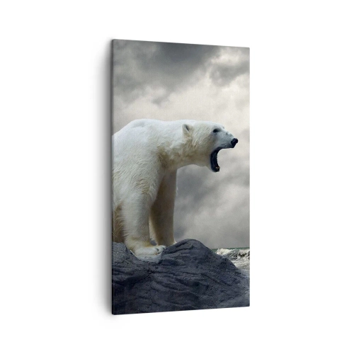 Impression sur toile - Image sur toile - Roi solitaire de l'Arctique - 45x80 cm