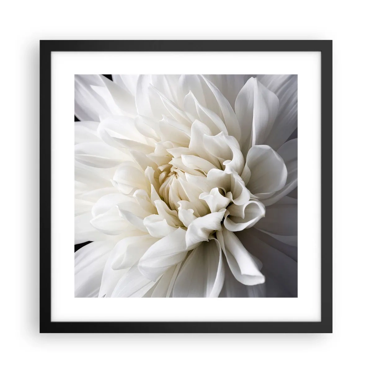 Affiche dans un cadre noir - Poster - Le matin de la jeune mariéé - 40x40 cm