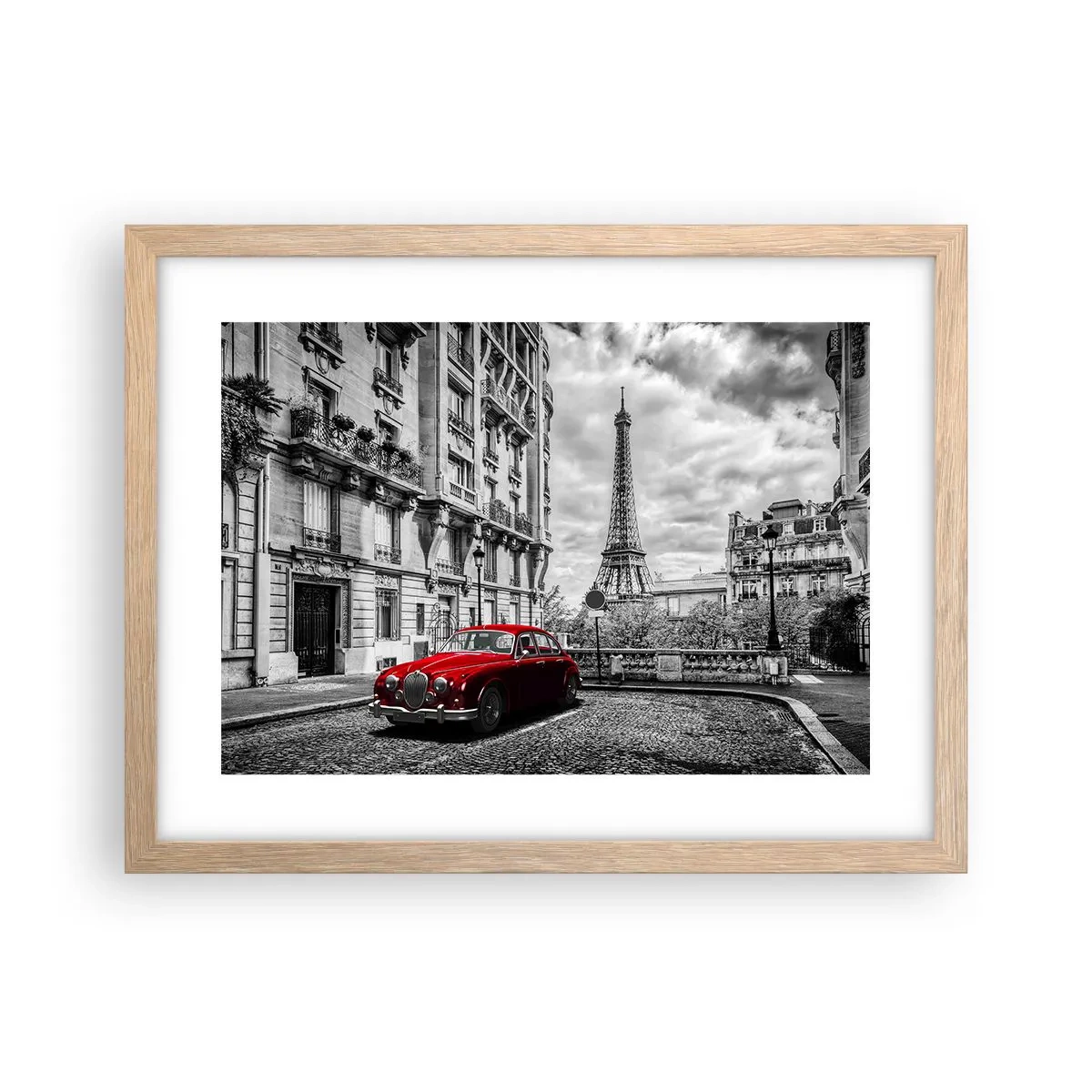 Affiche dans un chêne clair - Poster - Prédateur dans la ville - 40x30 cm