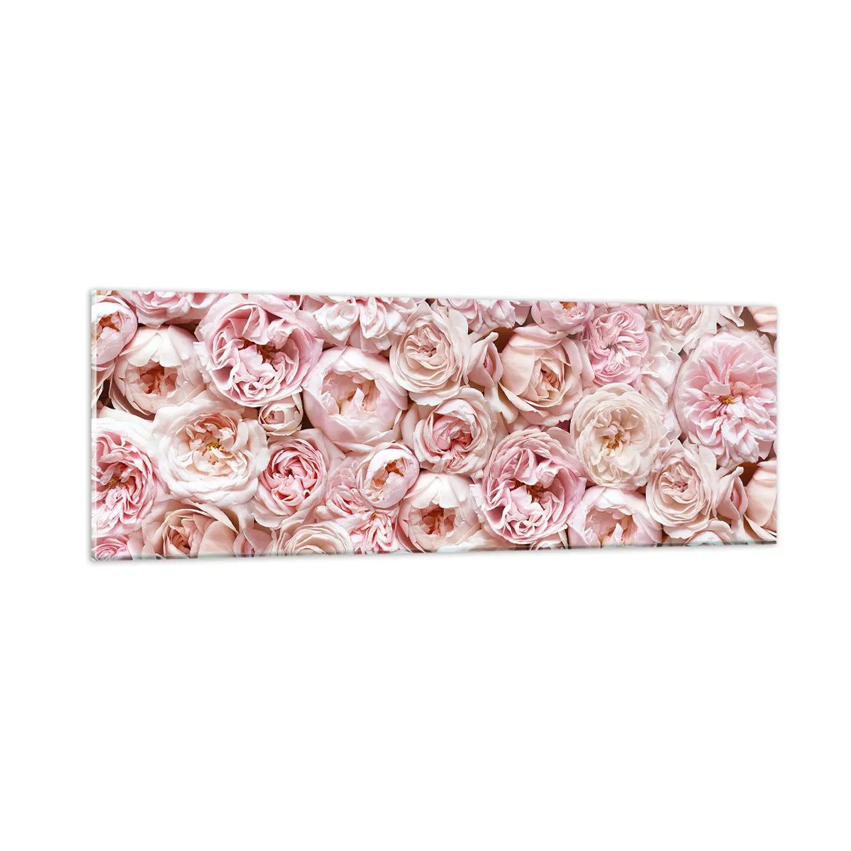 Impression sur verre - Image sur verre - Un lit de roses - 90x30 cm
