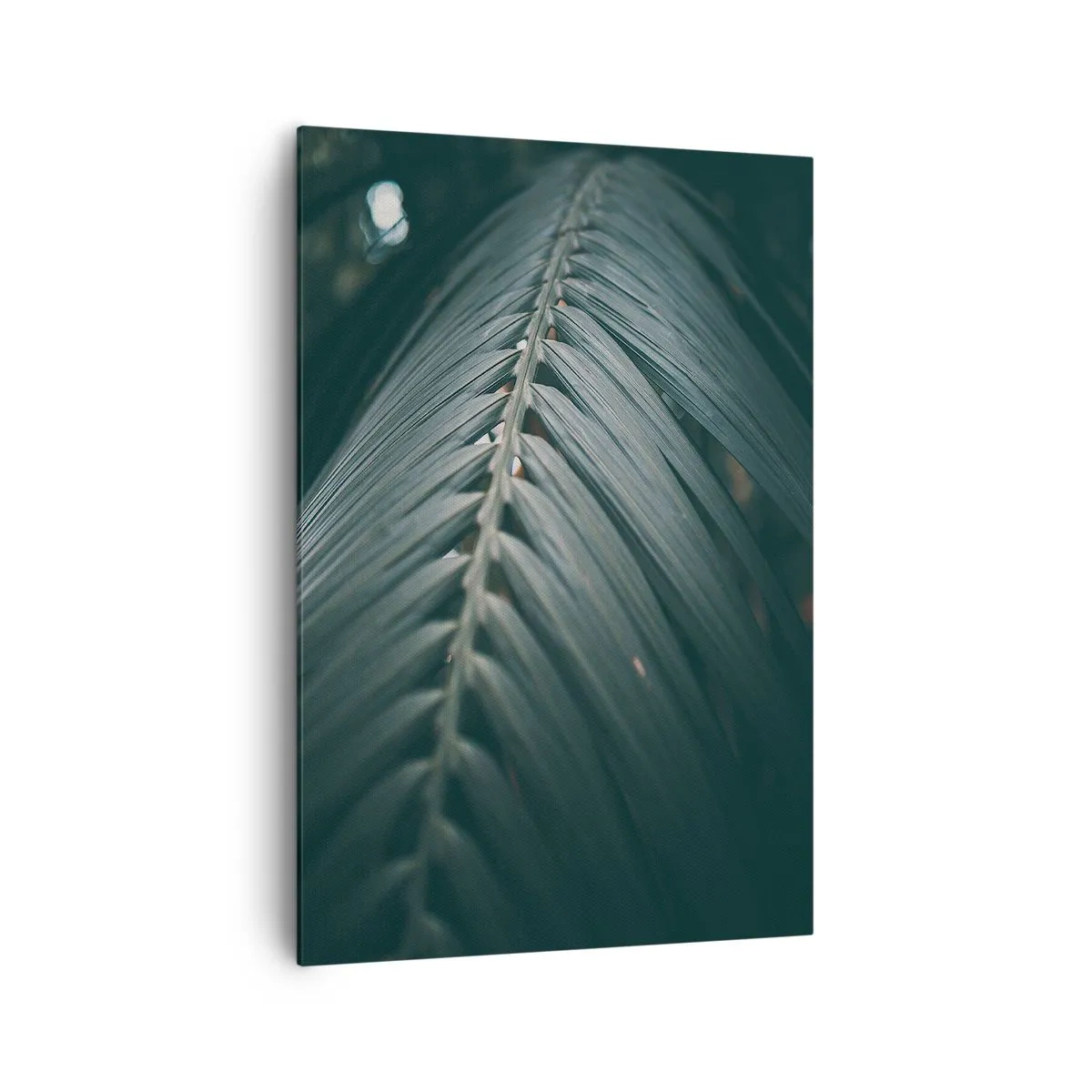Impression sur toile - Image sur toile - Gros plan d'un détail de feuille de palmier aux tons sombres - 70x100cm - Précision de la nature - Décoration murale moderne pour le salon et la chambre ARTTOR