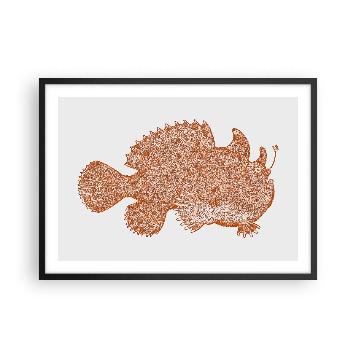 Affiche dans un cadre noir - Poster - Dessin détaillé d'un poisson cuivré sur fond blanc - 70x50cm - Et pourtant un poisson - Décoration murale moderne pour le salon et la chambre ARTTOR