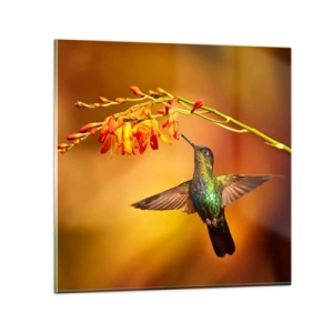 Impression sur verre - Image sur verre - Un messager de lumière selon les Mayas - 40x40 cm