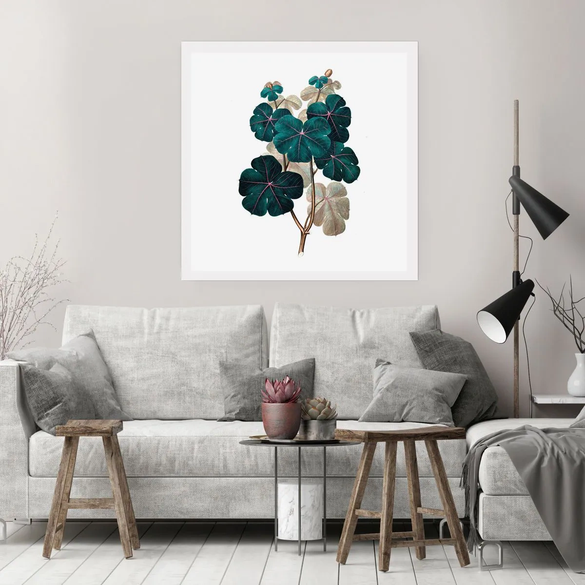 Affiche - Poster - De l'ancien herbier - 60x60 cm