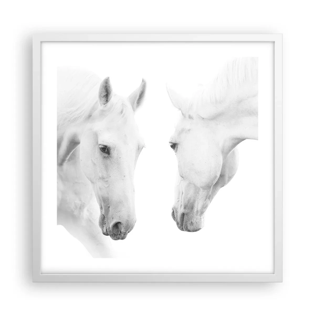 Affiche dans un cadre blanc - Poster - Serait-ce de l’amitié? - 50x50 cm