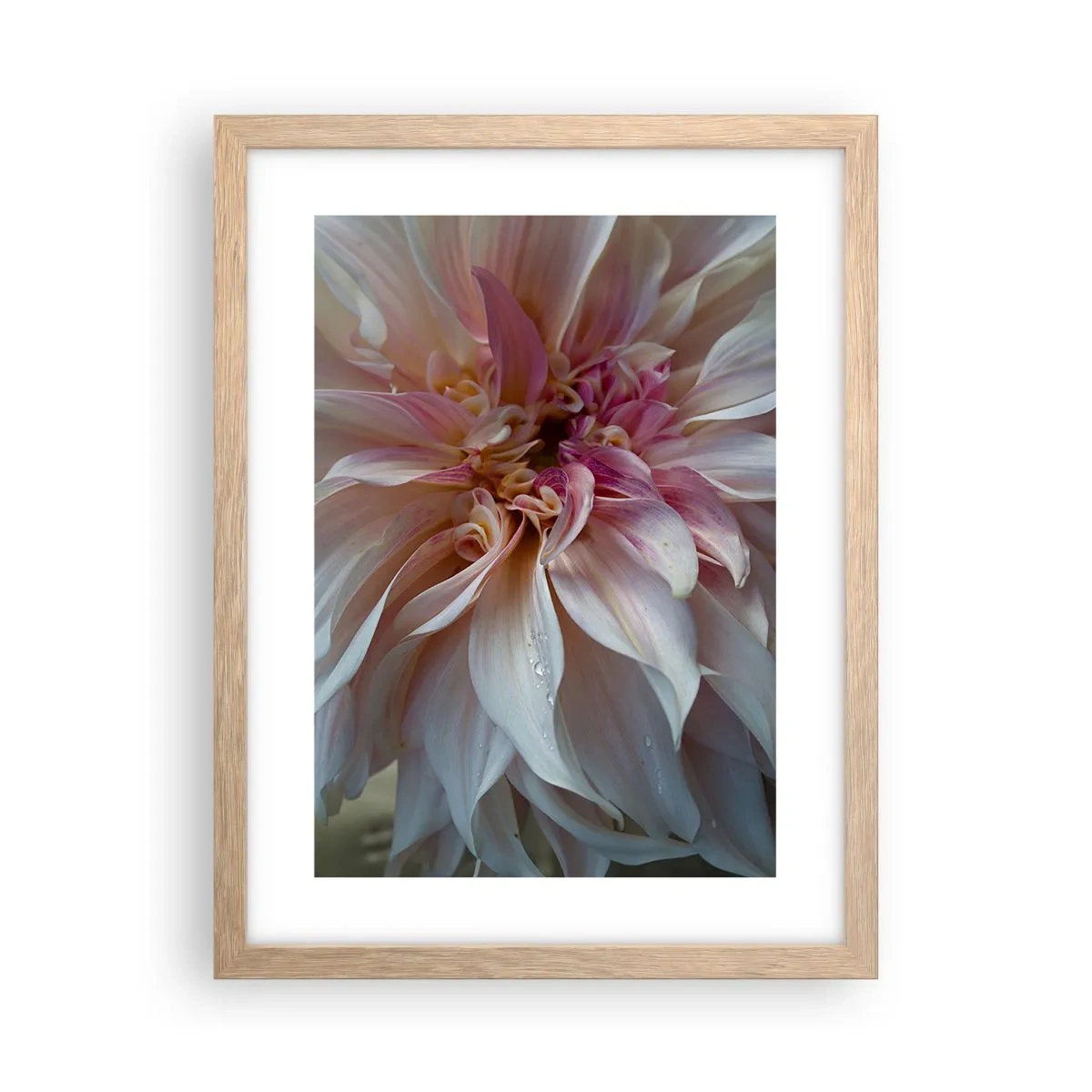 Affiche dans un chêne clair - Poster - Fraîcheur fleurissante - 30x40 cm