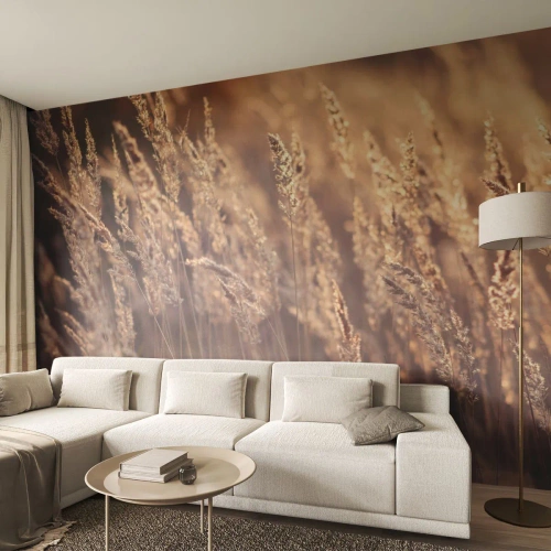 Papier Peint Autocollant Deluxe Sticker - Prêt à accueillir l'automne - Paysage, Épis de céréales, Prairie - 450x315 cm