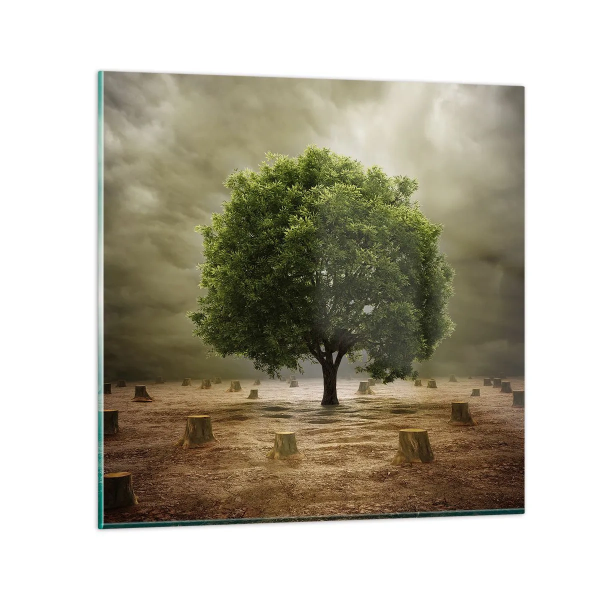 Impression sur verre - Image sur verre - Tout l'espoir - 50x50 cm