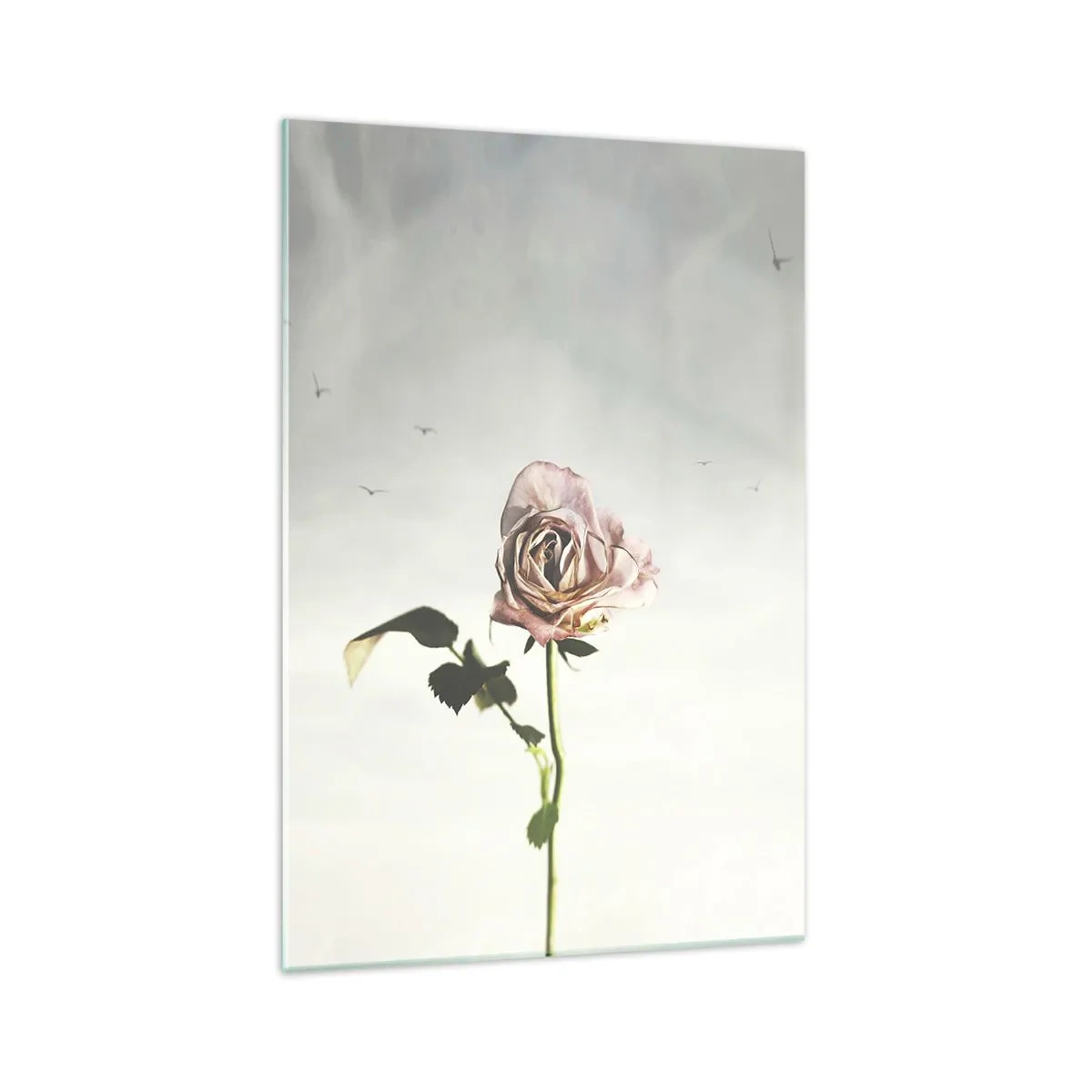 Impression sur verre - Image sur verre - Une rose délicate contre un ciel lumineux avec des oiseaux en vol - 70x100cm - Bonjour de printemps - Décoration murale moderne pour le salon et la chambre ARTTOR