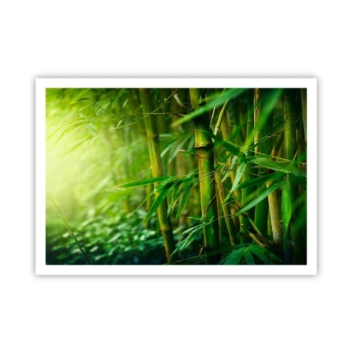 Affiche - Poster - Forêt de bambous verts dans une lumière douce - 100x70cm - Apprenez à connaître le vert lui-même - Décoration murale moderne pour le salon et la chambre ARTTOR