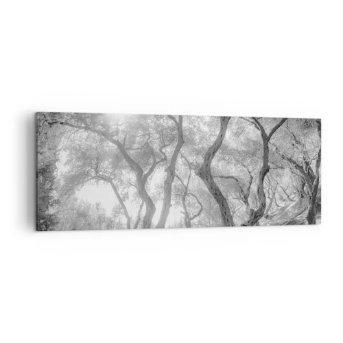 Impression sur toile - Image sur toile - Vue en noir et blanc d'arbres dans une oliveraie avec des rayons de soleil - 140x50cm - Dans l'oliveraie - Décoration murale moderne pour le salon et la chambre ARTTOR