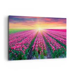 Impression sur toile - Image sur toile - Un champ de tulipes au coucher du soleil - 120x80cm - Ferme de la beauté - Décoration murale moderne pour le salon et la chambre ARTTOR
