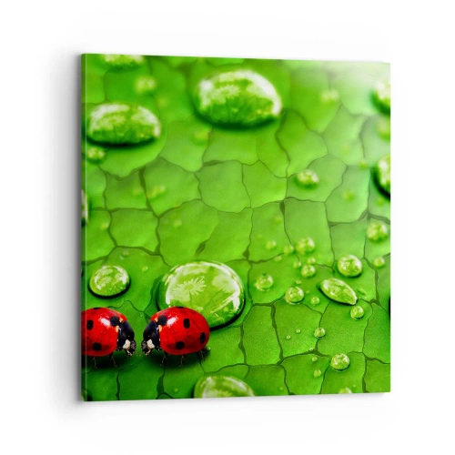 Impression sur toile - Image sur toile - Rendez-vous au vert - 70x70 cm