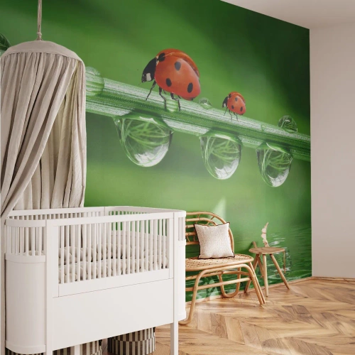 Papier Peint Photo Standard Eco - Sur la route tout l'été - Coccinelle, Une goutte d'eau, Nature - 200x140 cm