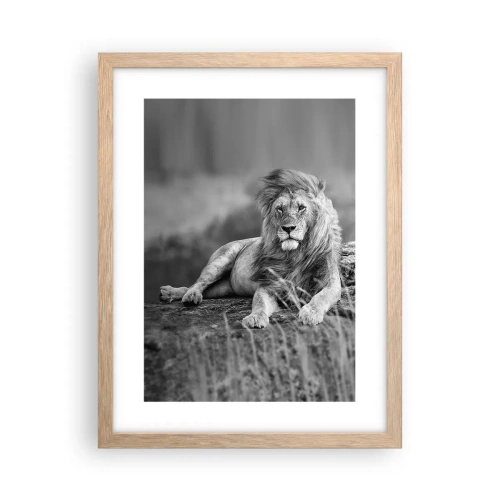Affiche dans un chêne clair - Poster - Sieste royale - 30x40 cm