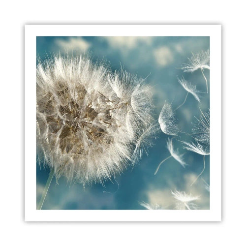Affiche - Poster - souffle d'ange - 60x60 cm