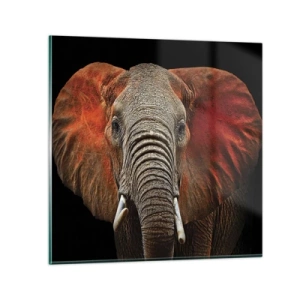 Impression sur verre - Image sur verre - Je suis sauvage, et toi? - 30x30 cm