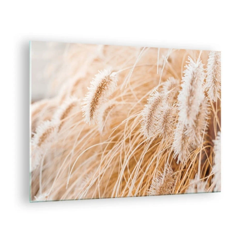 Impression sur verre - Image sur verre - Gros plan sur des pointes d'herbe duveteuses dans une lumière dorée - 70x50cm - Le bruissement doré de l'herbe - Décoration murale moderne pour le salon et la chambre ARTTOR