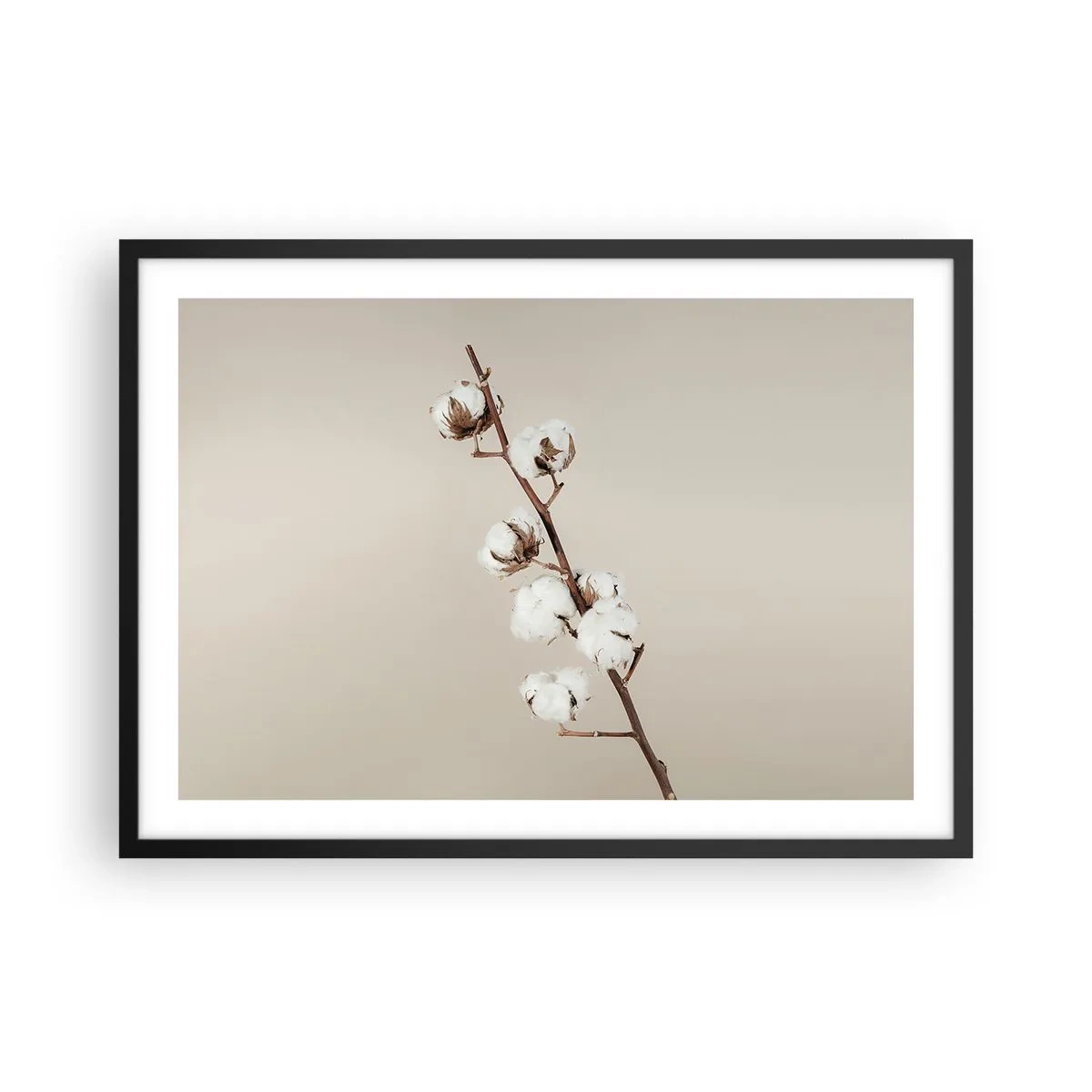 Affiche dans un cadre noir - Poster - Un brin de coton sur fond beige - 70x50cm - A la source de la douceur - Décoration murale moderne pour le salon et la chambre ARTTOR