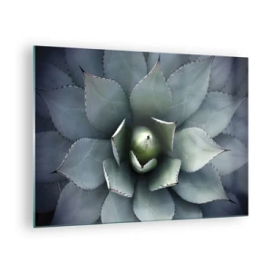 Impression sur verre - Image sur verre - Gros plan des feuilles d'agave symétriques de couleur acier. - 70x50cm - Wabi et observe - Décoration murale moderne pour le salon et la chambre ARTTOR