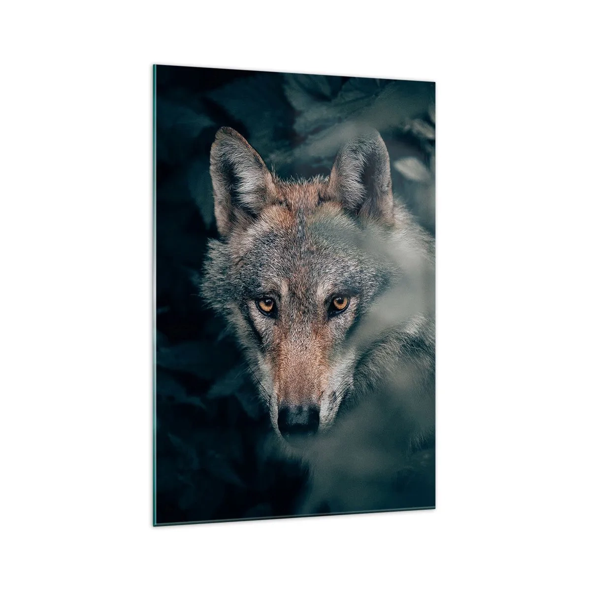 Impression sur verre - Image sur verre - Un loup dans son environnement naturel, regardant depuis les profondeurs de la forêt. - 70x100cm - Chasseur - Décoration murale moderne pour le salon et la chambre ARTTOR
