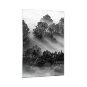 Impression sur verre - Image sur verre - Paysage forestier noir et blanc dans le brouillard du matin - 80x120cm - Sortir de son sommeil - Décoration murale moderne pour le salon et la chambre ARTTOR