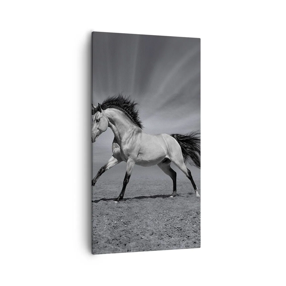 Impression sur toile - Image sur toile - Né pour séduire - 55x100 cm