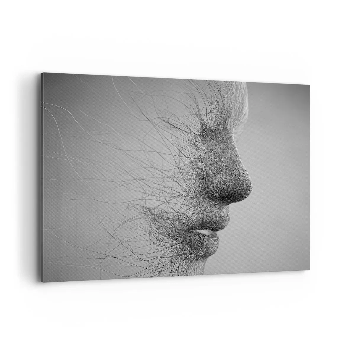Impression sur toile - Image sur toile - Profil facial artistique créé avec des lignes délicates - 120x80cm - L'esprit du vent - Décoration murale moderne pour le salon et la chambre ARTTOR