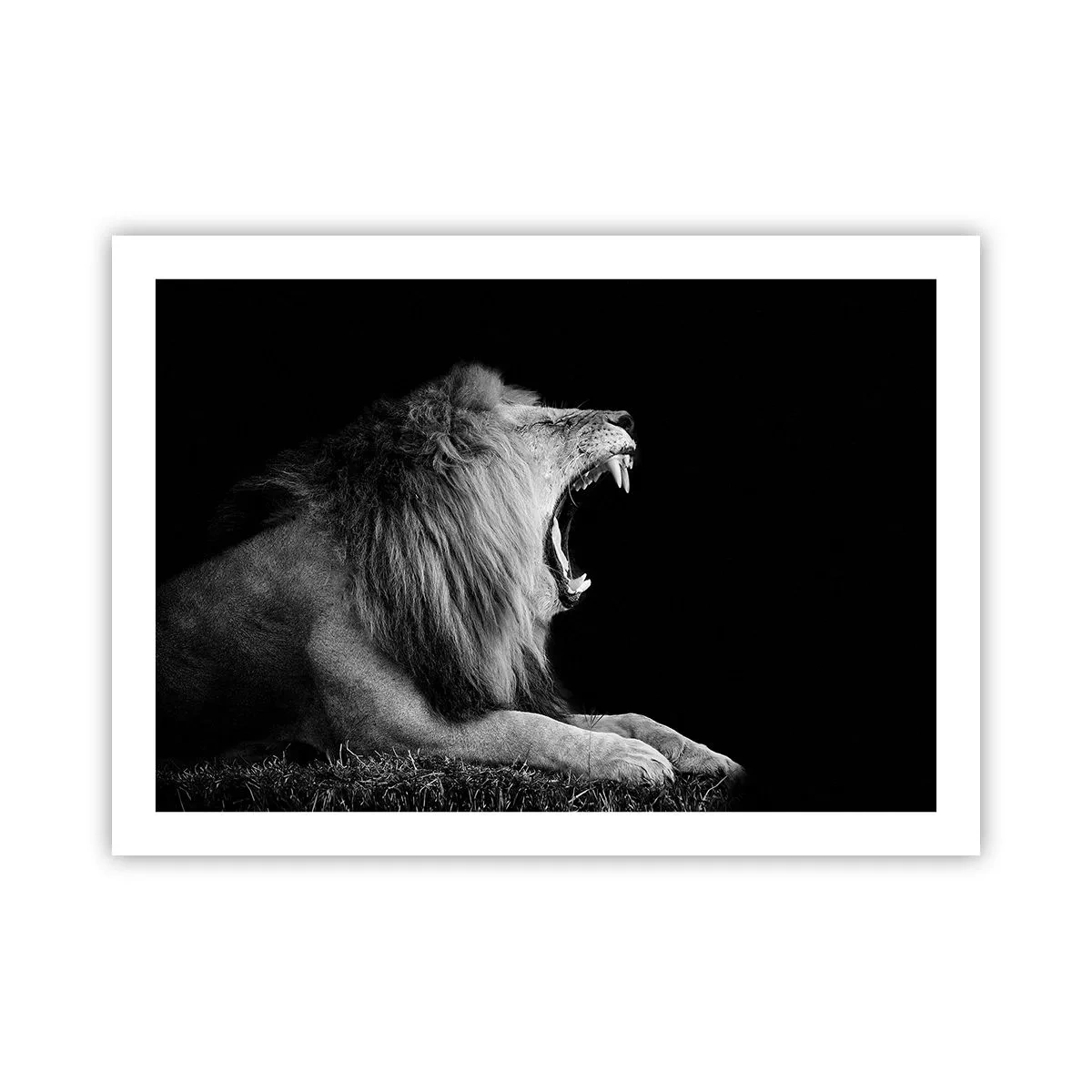 Affiche - Poster - Sans aucun doute - 70x50 cm