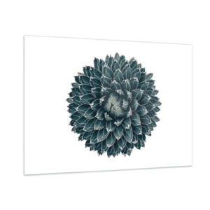 Impression sur verre - Image sur verre - Motif symétrique d'une plante succulente sur fond blanc - 100x70cm - Étoile du désert - Décoration murale moderne pour le salon et la chambre ARTTOR