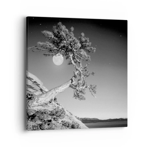 Impression sur toile - Image sur toile - Un combattant vainqueur - 40x40 cm