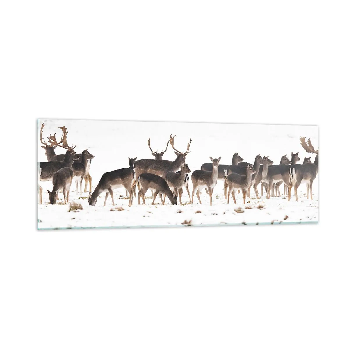 Impression sur verre - Image sur verre - Les fêtes approchent ? - 90x30 cm