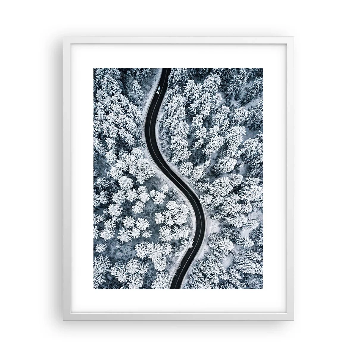 Affiche dans un cadre blanc - Poster - À travers une forêt d'hiver - 40x50 cm