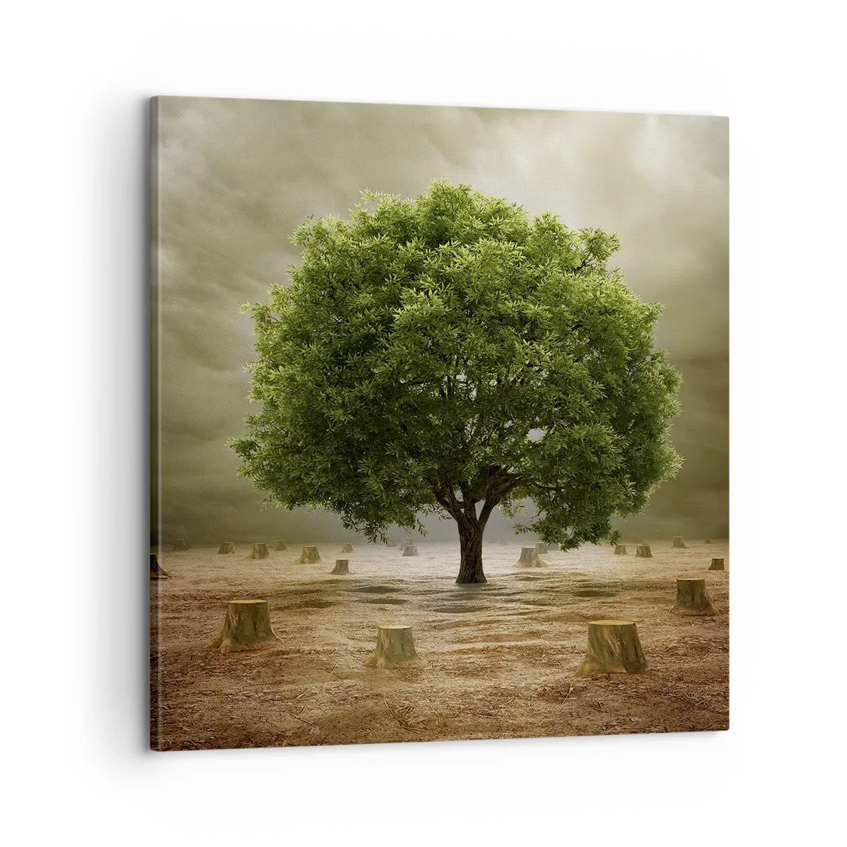 Impression sur toile - Image sur toile - Tout l'espoir - 60x60 cm