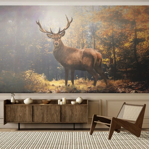 Papier Peint Photo Premium Canvas - Cerf dans la forêt d'automne avec les rayons du soleil - 100x70cm - Toute sa majesté - Décoration murale moderne pour le salon et la chambre ARTTOR