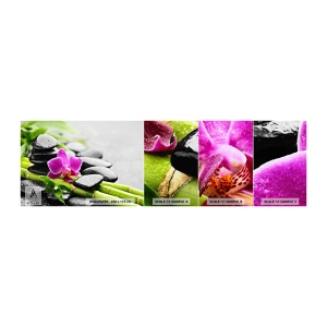 Échantillon De Papier Peint Standard Eco - Dans un équilibre de calme - Fleurs, Orchidée, Orchidée - 100x30 cm