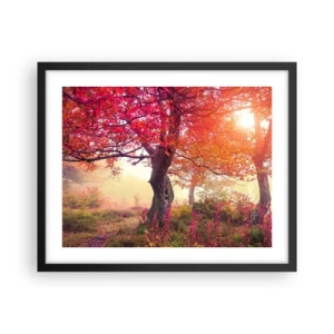 Affiche dans un cadre noir - Poster - Frénésie de floraison - 50x40 cm