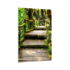 Impression sur verre - Image sur verre - Un pont en bois recouvert de mousse dans une forêt tropicale - 70x100cm - Un couloir de verdure - Décoration murale moderne pour le salon et la chambre ARTTOR
