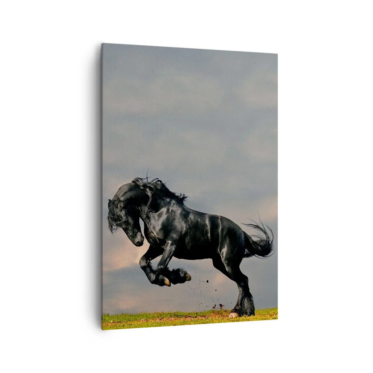Impression sur toile - Image sur toile - Un cheval noir dans un saut dynamique contre le ciel - 70x100cm - Beau et libre - Décoration murale moderne pour le salon et la chambre ARTTOR