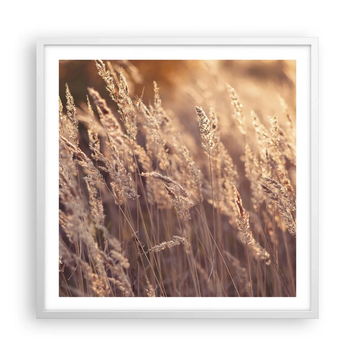 Affiche dans un cadre blanc - Poster - Prêt à accueillir l'automne - 60x60 cm