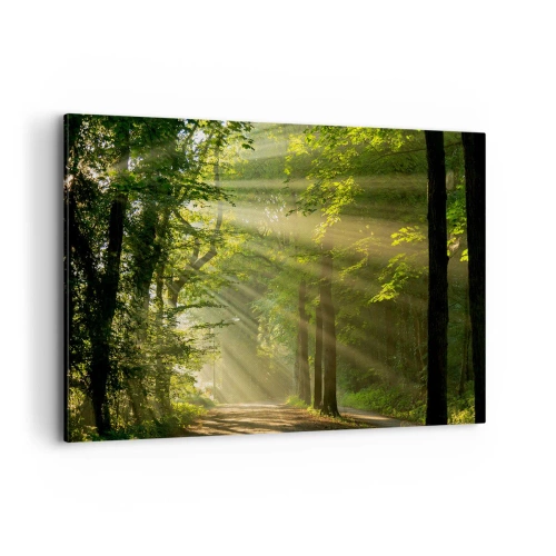 Impression sur toile - Image sur toile - Chemin forestier avec les rayons du soleil qui brillent à travers les arbres - 120x80cm - Moment de forêt - Décoration murale moderne pour le salon et la chambre ARTTOR