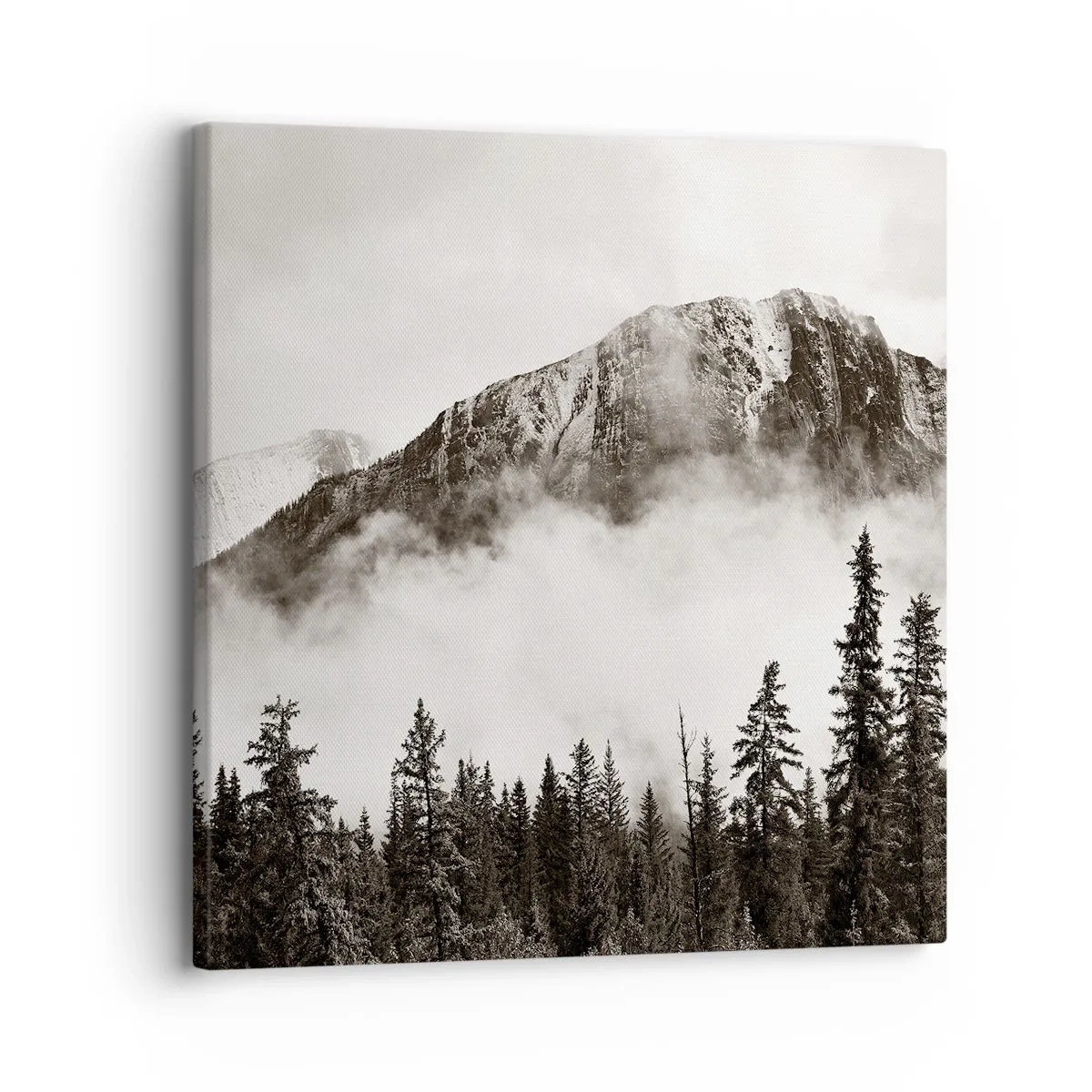 Impression sur toile - Image sur toile - Seigneur de granite - 30x30 cm