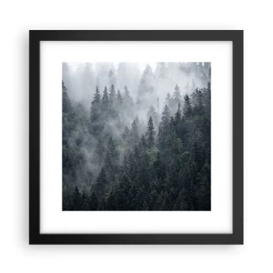 Affiche dans un cadre noir - Poster - Aube de la forêt - 30x30 cm