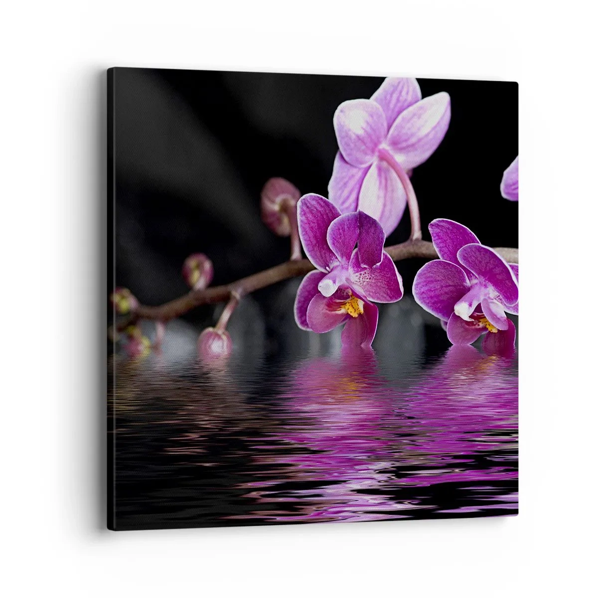 Impression sur toile - Image sur toile - Reflet lilas de la beauté - 40x40 cm