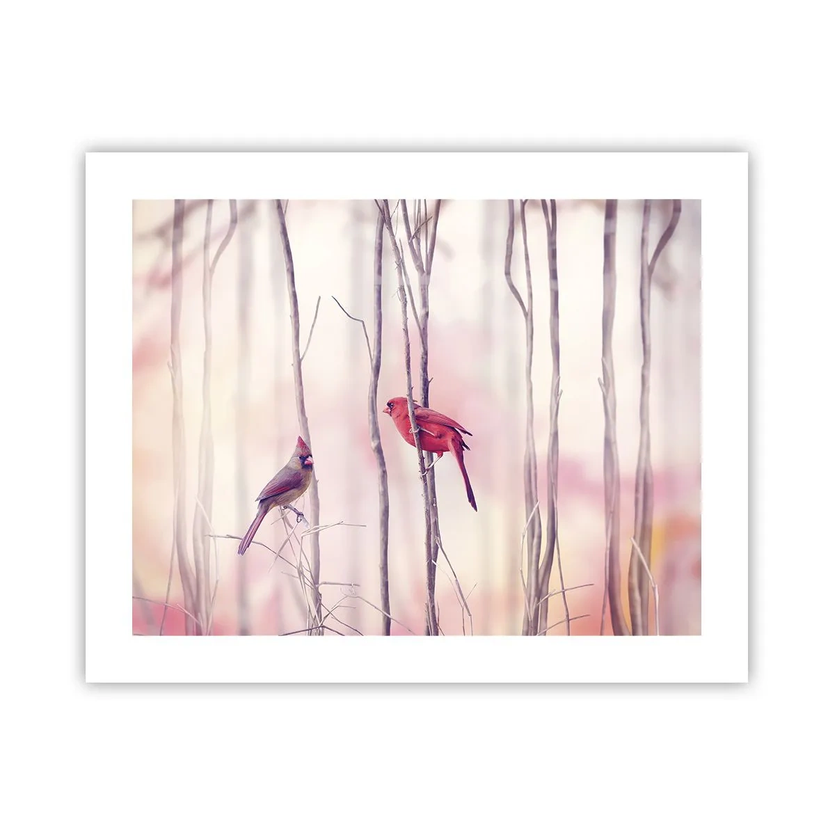 Affiche - Poster - Conte de la forêt rose - 50x40 cm