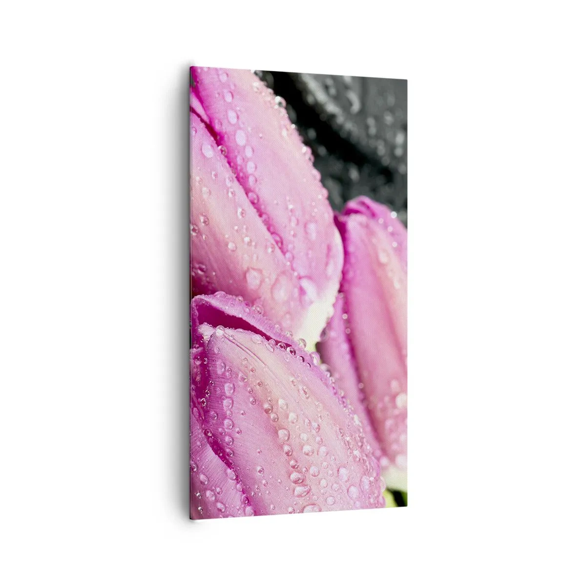 Impression sur toile - Image sur toile - Lilas trois sur une pierre noire - 65x120 cm